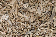biomass boilers Narborough
